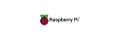 Raspberry