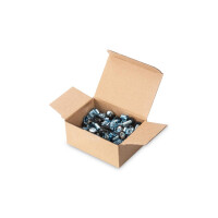 DIGITUS DN-19-SET-S - M6 Installationsschrauben-Set, 50 Stück 50x silberne Schrauben, Muttern u. Scheiben