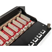 CAT.6A  Patchpanel,12xRJ45 STP 10", RAL9005, 10GBit