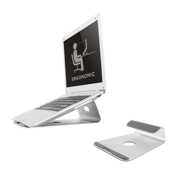 Neomounts by Newstar Notebook Halter - Notebook-Ständer - Silber - 25,4 cm (10 Zoll) - 43,2 cm (17 Zoll) - 5 kg - 0 - 22°