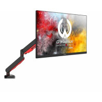 Iiyama DSG3001C-R1 - Klemme - 9 kg - 43,2 cm (17 Zoll) -...
