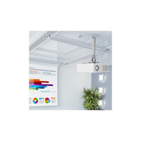 Techly Deckenhalterung für Beamer, ausziehbar, 38-58cm, Silber