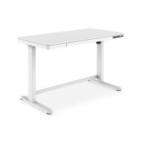 DIGITUS DA-90406 - Elektrisch höhenverstellbarer Tisch120x60x12cm top 50kg Last, USB-Ladeanschlüsse, weiß