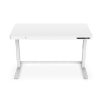 DIGITUS DA-90406 - Elektrisch höhenverstellbarer Tisch120x60x12cm top 50kg Last, USB-Ladeanschlüsse, weiß