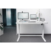 DIGITUS DA-90406 - Elektrisch höhenverstellbarer Tisch120x60x12cm top 50kg Last, USB-Ladeanschlüsse, weiß