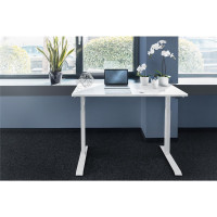 DIGITUS DA-90407 - Elektrisch höhenverstellbarer Tisch120x60x18cm top 50kg Last, weiß