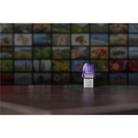 Kingston 256GB DT MICRODUO 3C 200MB/s DUAL USB-A+ USB-C - USB-Stick - 256 GB