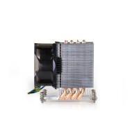 Dynatron A19 - Sockel AM4