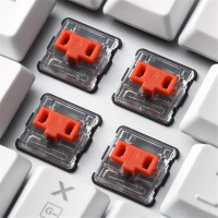 Sharkoon PureWriter wh TKL Kailh Red US RGB - Low Profile Choc
