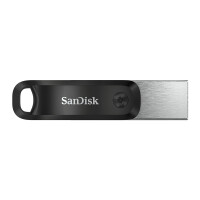 SanDisk SDIX60N-256G-GN6NE - 256 GB - 3.2 Gen 1 (3.1 Gen 1) - Schutzh&uuml;lle - 7,2 g - Grau - Silber