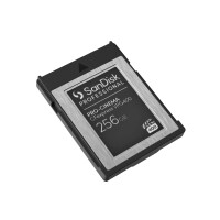 SanDisk PROFESSIONAL PRO-CINEMA