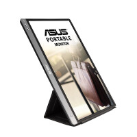 ASUS MB14AC - 35,6 cm (14 Zoll) - 1920 x 1080 Pixel - Full HD - 5 ms - Grau