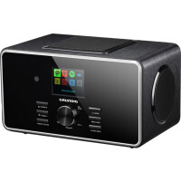 Grundig DTR 6000 X - Tragbar - Analog & Digital -...