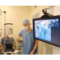 Ergotron Interactive Arm - HD - 18,2 kg - 76,2 cm (30 Zoll) - 139,7 cm (55 Zoll) - 200 x 100 mm - 200 x 100 mm - Aluminium