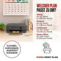 Canon PIXMA TS7451i weiss