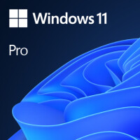 Microsoft Windows 11 Pro OEM - Erstausr&uuml;ster (OEM) - 1 Lizenz(en) - 64 GB - 4096 GB - 1000 GHz - Deutsch