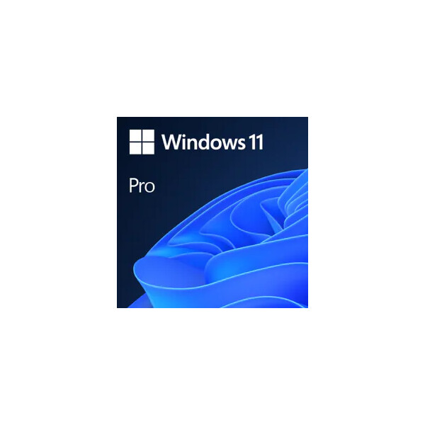 Microsoft Windows 11 Pro - Elektronischer Software-Download (ESD) - 1 Lizenz(en) - Mehrsprachig