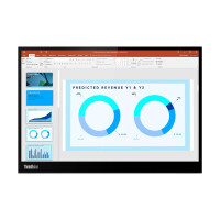 Lenovo THINKVISION M14 14IN MNTR