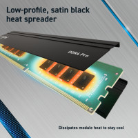Crucial 64GB 32GBx2 Pro DDR4-3200 UDIMM CL22 16Gbit Kit