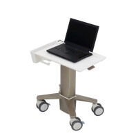 Ergotron C50-1100-0 - Notebook-Ständer - Grau - 39,6 cm (15.6 Zoll) - 5,4 kg - 614 - 1247 mm - 62,5 cm