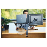 Dell MicroSaver Twin - Rundkeil - Silber