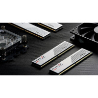 G.Skill Ripjaws F5-5600J2834F16GX2-RS5W - 32 GB - 2 x 16 GB - DDR5 - 5600 MHz