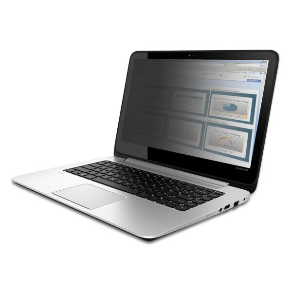 V7 Notebook-Privacy-Filter - 33.8 cm (13.3")