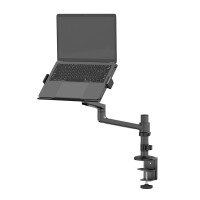 Neomounts by Newstar Notebook-Tischhalterung - Notebook-Arm - Schwarz - Stahl - 29,5 cm (11.6") - 43,9 cm (17.3") - 5 kg