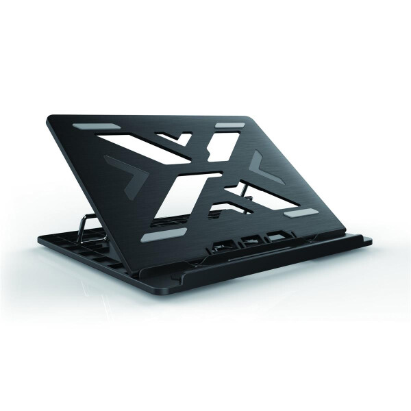 Conceptronic ERGO Laptop Cooling Stand - Notebook-Ständer - Schwarz - 39,6 cm (15.6 Zoll) - 50 kg - 258 mm - 302 mm