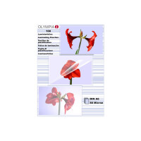 Olympia 1x100 DIN A6 80 micron - Transparent - A6 - 100...