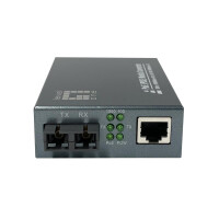 LevelOne Konverter GVT-2014 10/100/1000T>RJ45 to -...