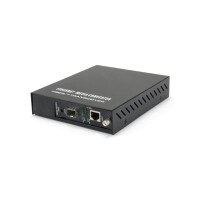 LevelOne GVM-1000 - Medienkonverter - Fast Ethernet