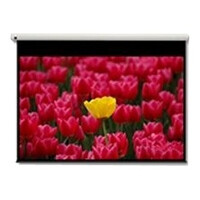 Optoma Pantalla 16:9 2656 x 1494mm - 3,05 m (120 Zoll) -...