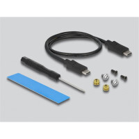 Delock 42004 - SSD-Gehäuse - M.2 - PCI Express - SATA - 10 Gbit/s - USB Konnektivität - Schwarz