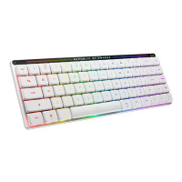 ASUS ROG FALCHION RX LP RL/RD
