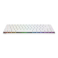 ASUS ROG FALCHION RX LP RL/RD