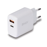 Lindy 65W USB Typ A &amp; C GaN Charger - PC-/Server Netzteil - Parallel