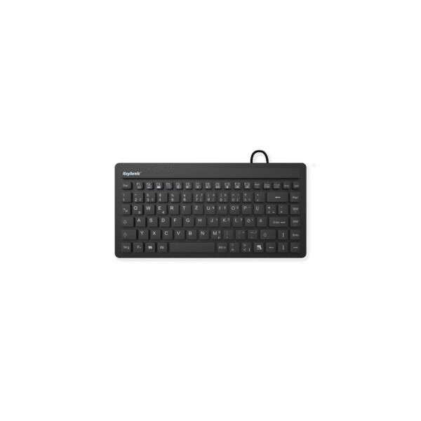 KeySonic KSK-3230IN - Mini - USB - QWERTY - Schwarz