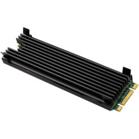 Thermal Grizzly TG-M2SSD-ABR - Schwarz