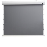 celexon HomeCinema Hochkontrastleinwand Tension 177 x 99 cm, 80" - Dynamic Slate ALR