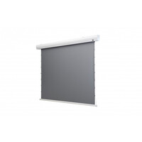 celexon 1000008117 - Motorisiert - 2,54 m (100 Zoll) - 2,11 m - 125 cm - 16:9 - Gespannter Bildschirm