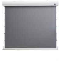 celexon HomeCinema Hochkontrastleinwand Tension 265 x 149 cm 120" - Dynamic Slate ALR