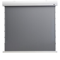 celexon HomeCinema Hochkontrastleinwand Tension 298 x 168...