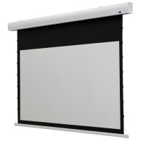 celexon Leinwand HomeCinema Tension 240 x 135 cm,...
