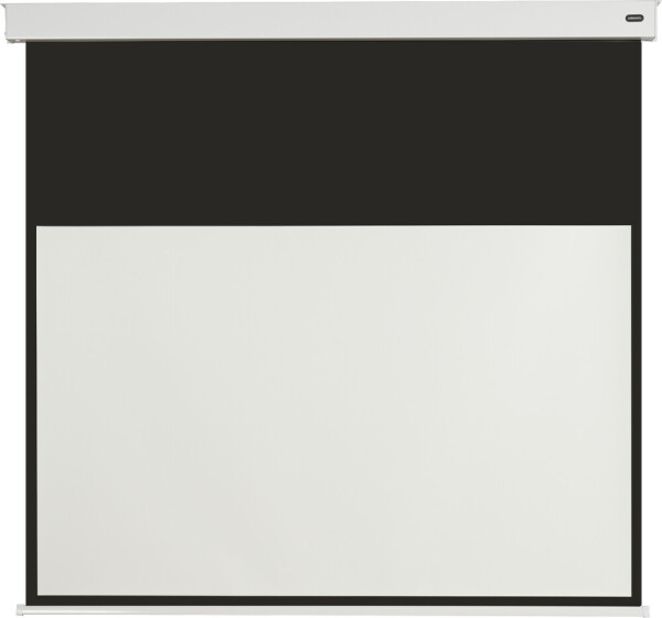 celexon Batterie Leinwand V2.0 Motor Professional Plus - Leinwand