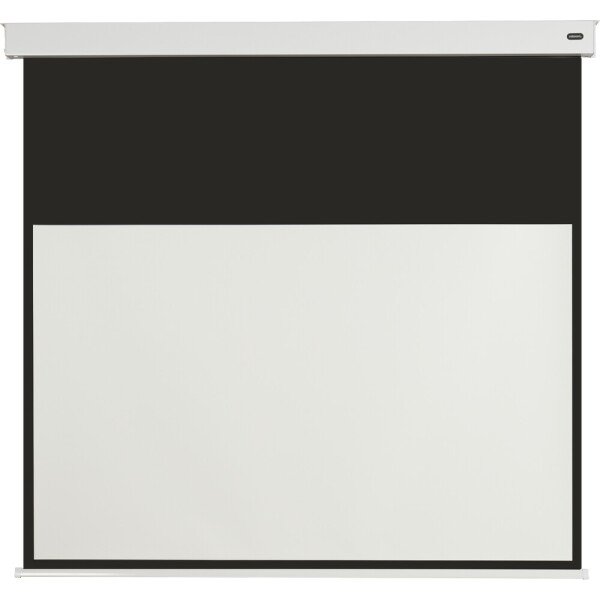 celexon Batterie Leinwand V2.0 Motor Professional Plus 320 x 180 cm