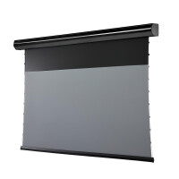 celexon Leinwand Motor HomeCinema Plus Tension - CLR UST, 120" schwarz