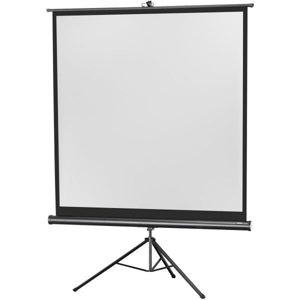 celexon Stativleinwand Economy 133 x 133 cm