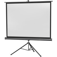 celexon Stativleinwand Economy 244 x 183 cm