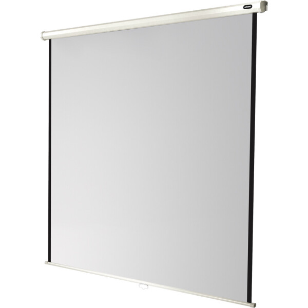 celexon Leinwand Rollo Economy 120 x 120 cm